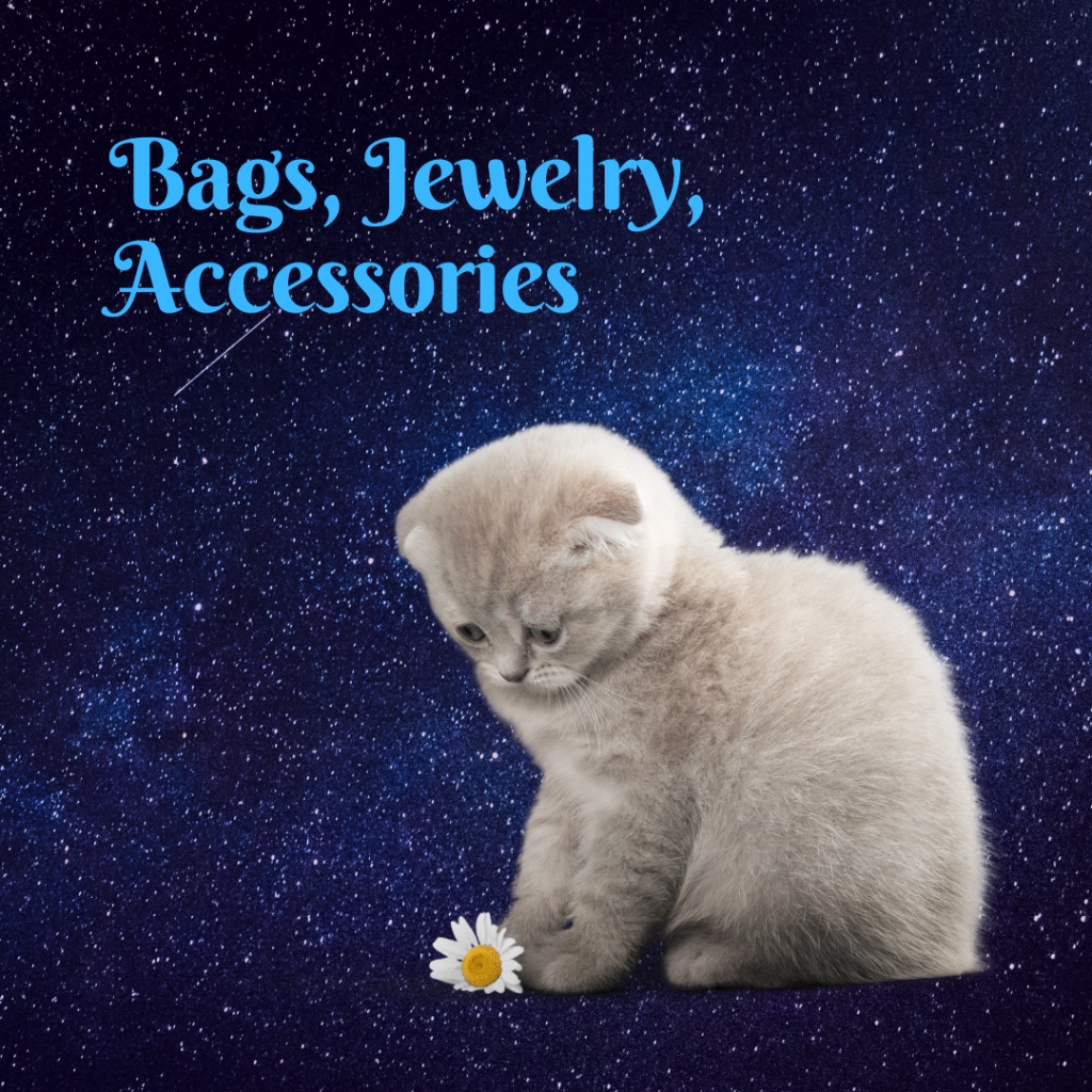 Bags Jewelry Accessories